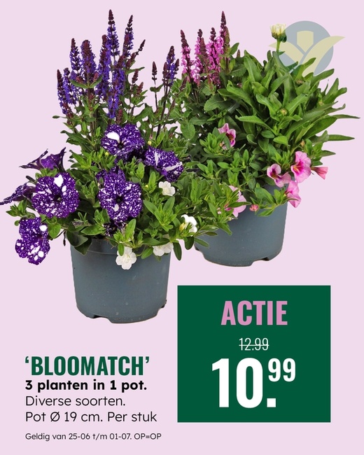 Weekaanbieding: 'Bloomatch'